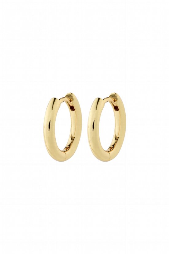 Charmed Mini Hoop Earrings